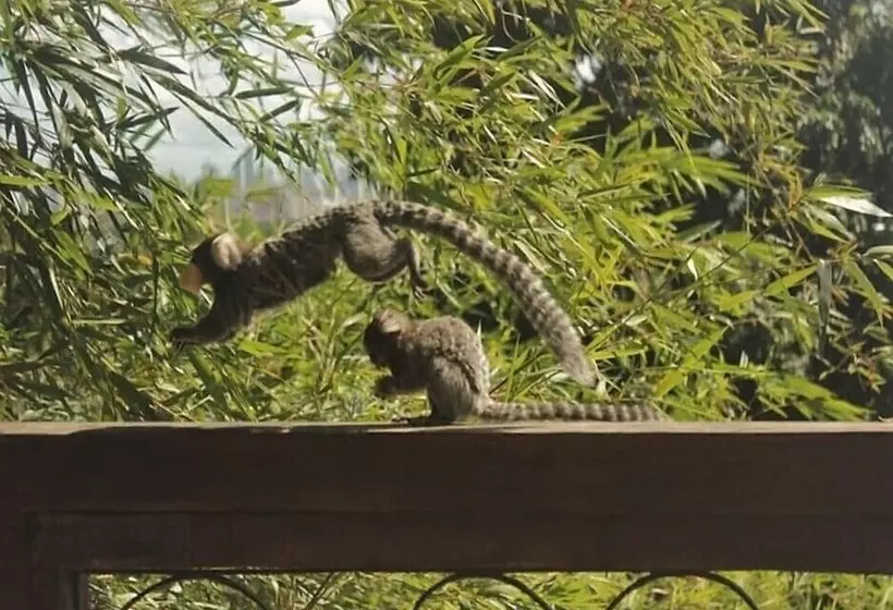 ペンション Pousada Villa Olinda