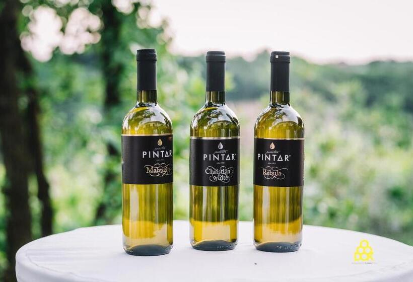 پانسیون Valentina Guest House At Pintar Wine Estate