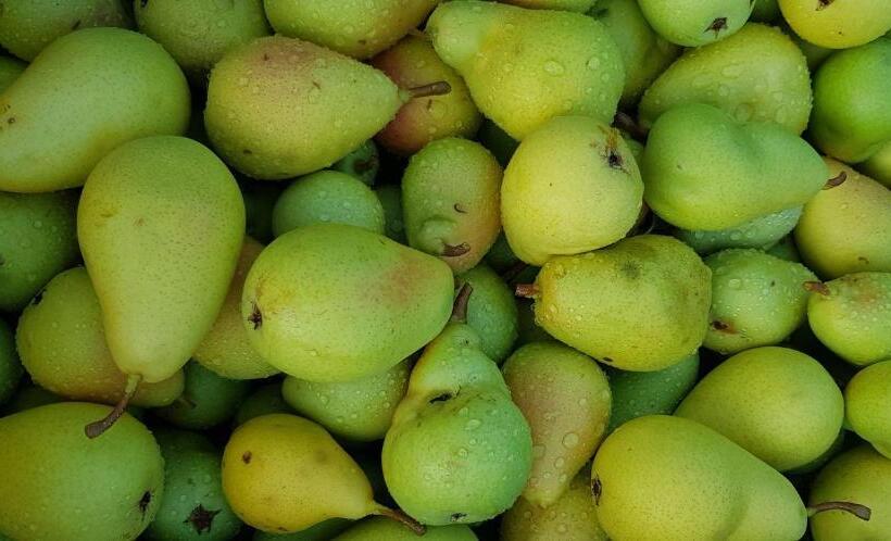 پانسیون Valentina Guest House At Pintar Wine Estate