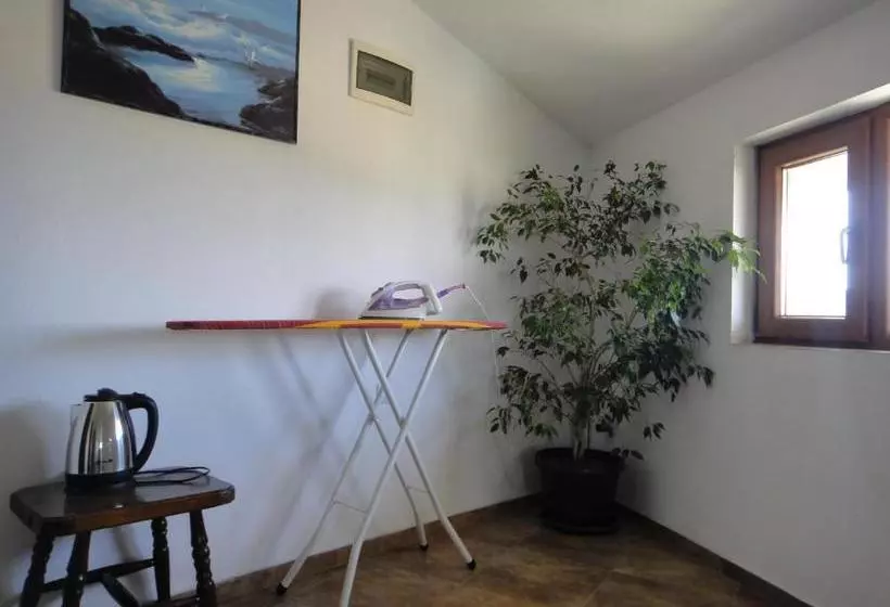 پانسیون Zenith Guest House