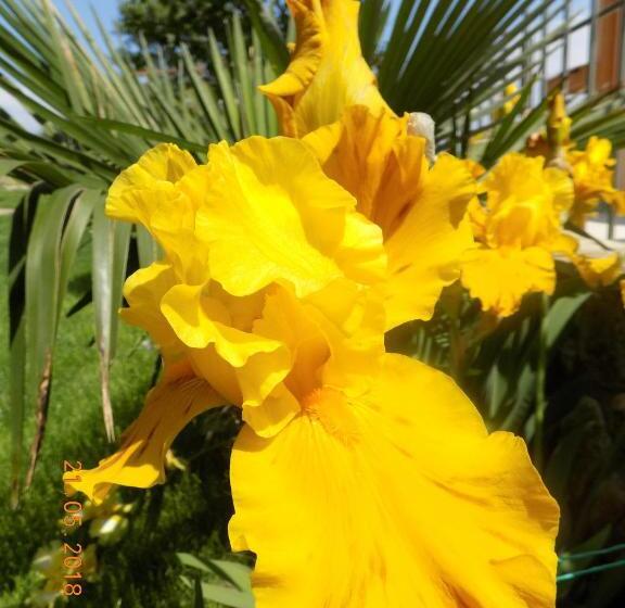 پانسیون Zenith Guest House