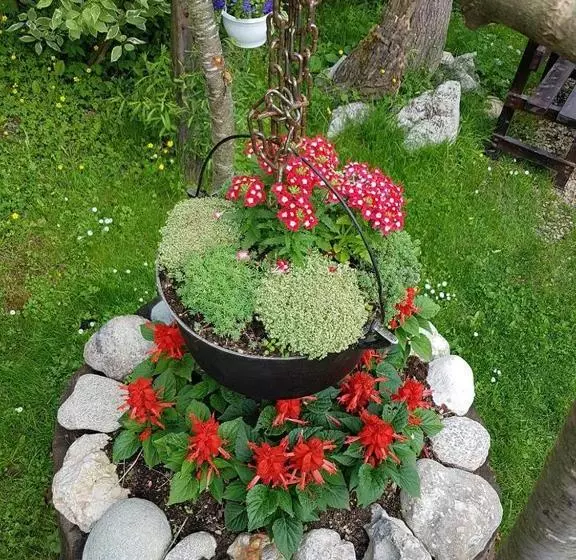 Pensiunea Liziera
