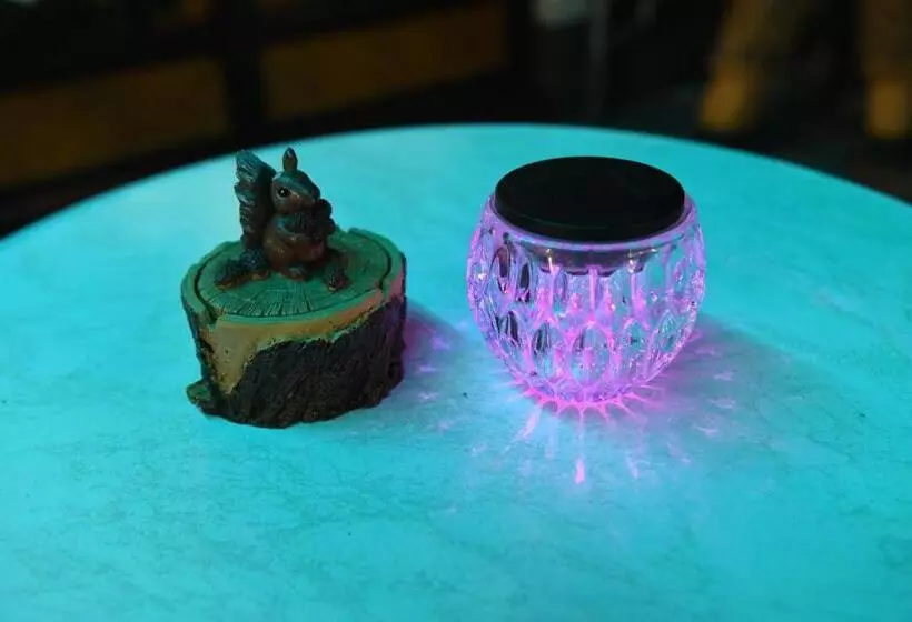 ユースホステル Gasthof Zum Mohrn