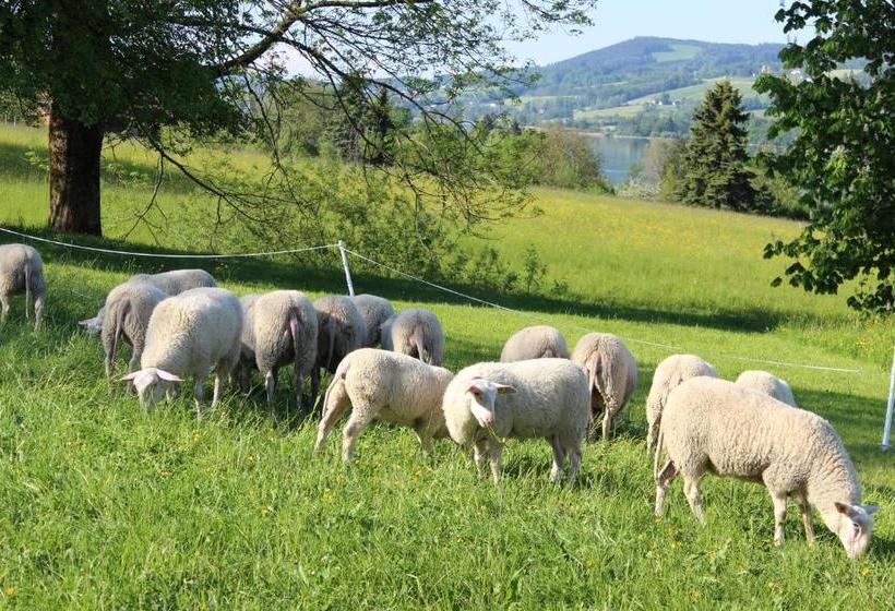 فندق Bauernhof Schink