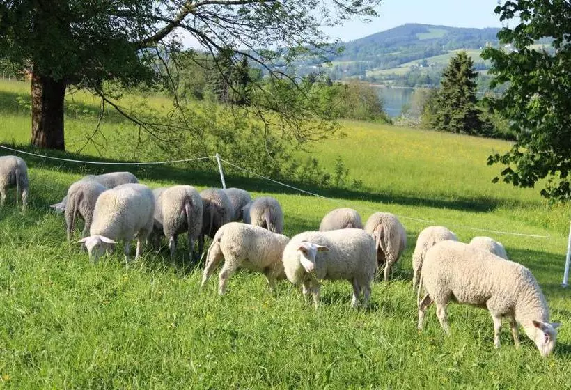 ホテル Bauernhof Schink