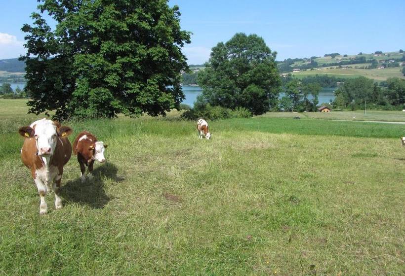 فندق Bauernhof Schink