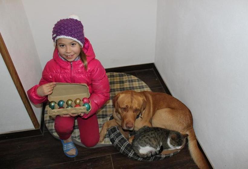 فندق Bauernhof Schink