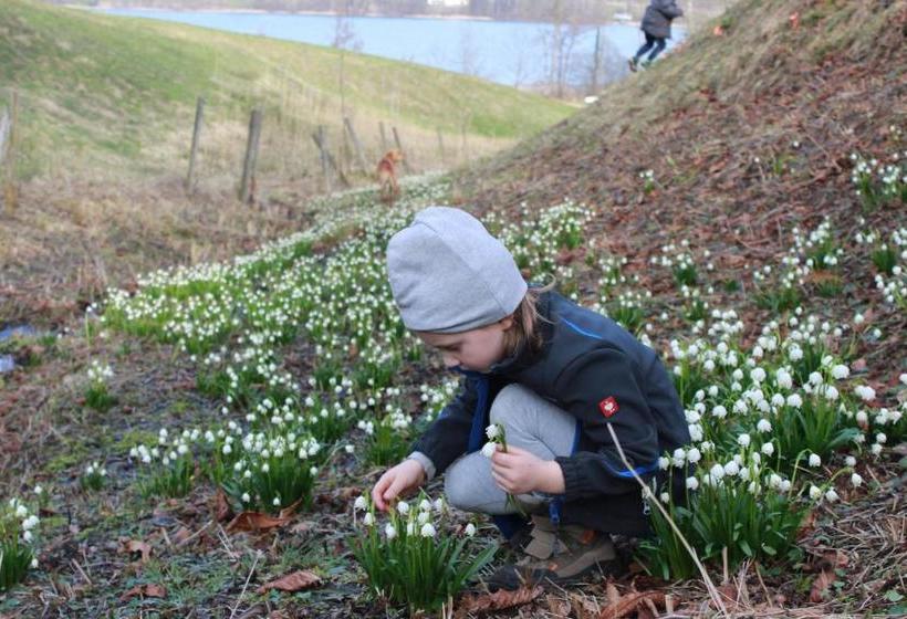 فندق Bauernhof Schink