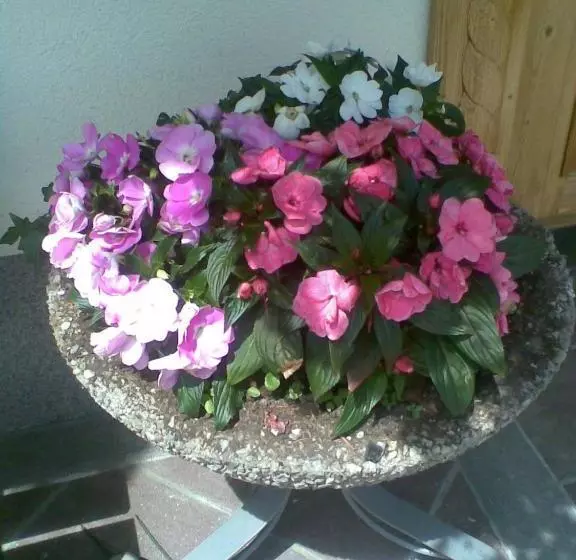 هتل Kammerlandhof