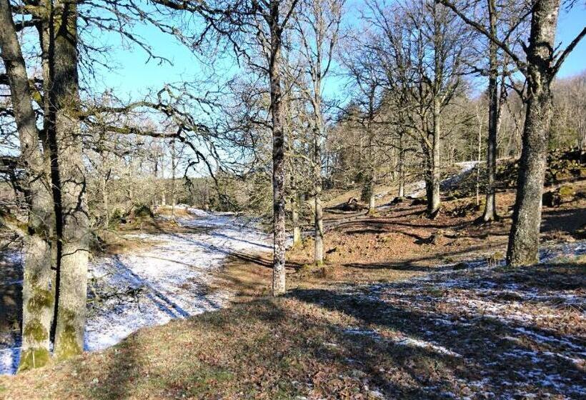 בית מלון כפרי Villa Vilan Countryside Lodging