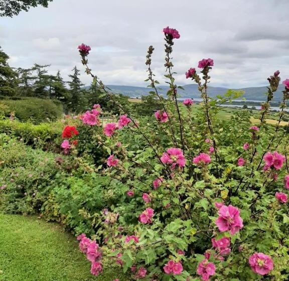 膳宿费 Abhainn Ri Farmhouse