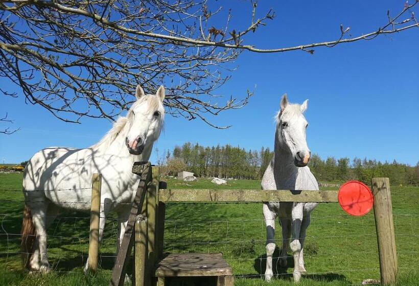 膳宿费 Abhainn Ri Farmhouse