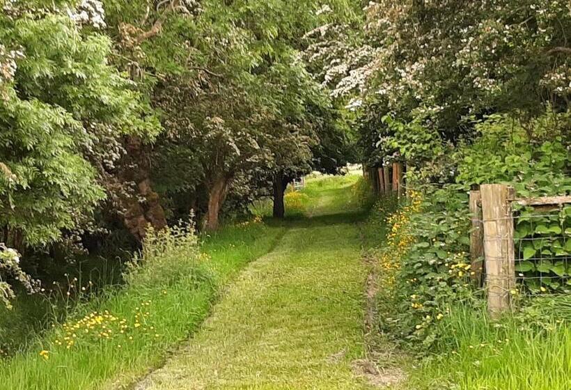 膳宿费 Abhainn Ri Farmhouse