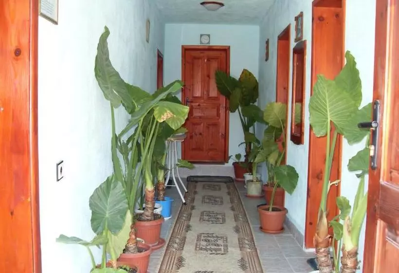 پانسیون Guest House Rimski Most