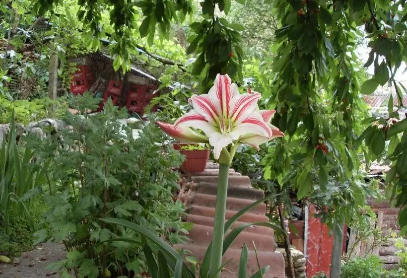 پانسیون Guest House Rimski Most