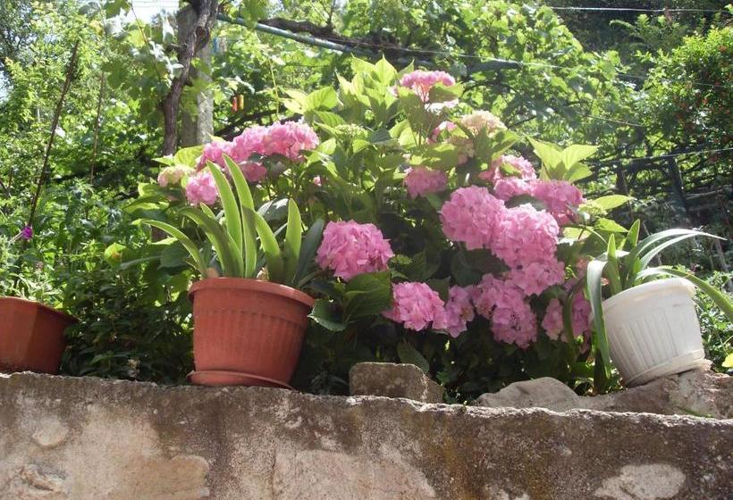 Pansiyon Guest House Rimski Most