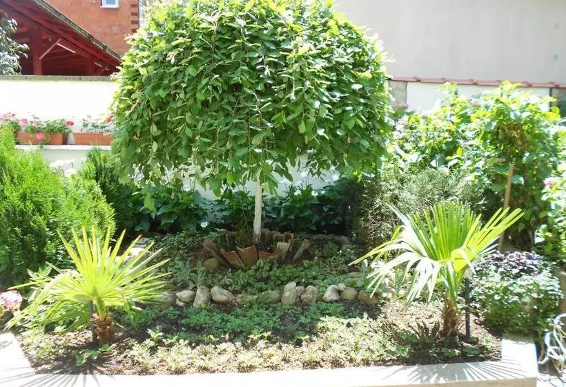 پانسیون Laguna