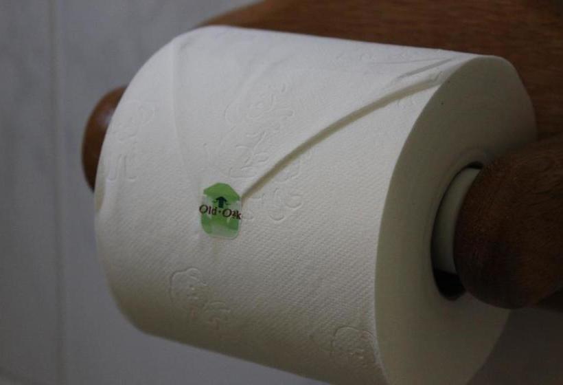 بنسيون Old Oak Guest House