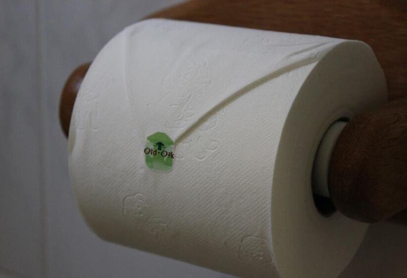 بنسيون Old Oak Guest House