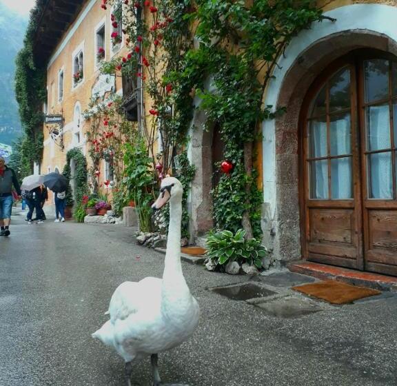 Vandrarhem Bräugasthof Hallstatt