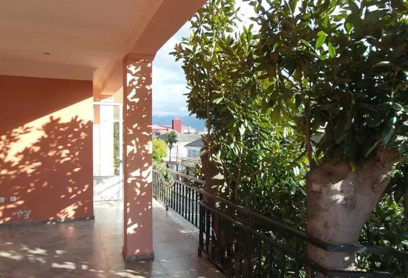 پانسیون Magnolia Guest House