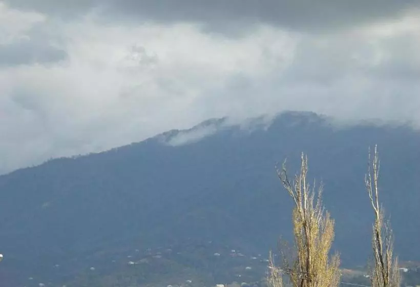 پانسیون Magnolia Guest House