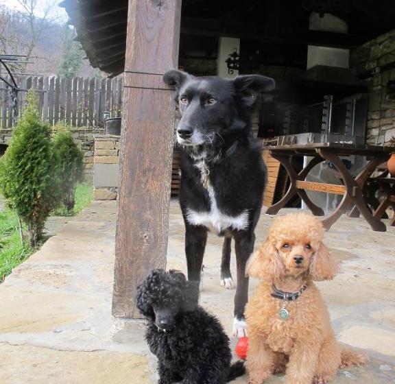 ペンション New Bakalov House