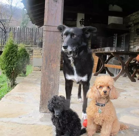 Majatalo New Bakalov House