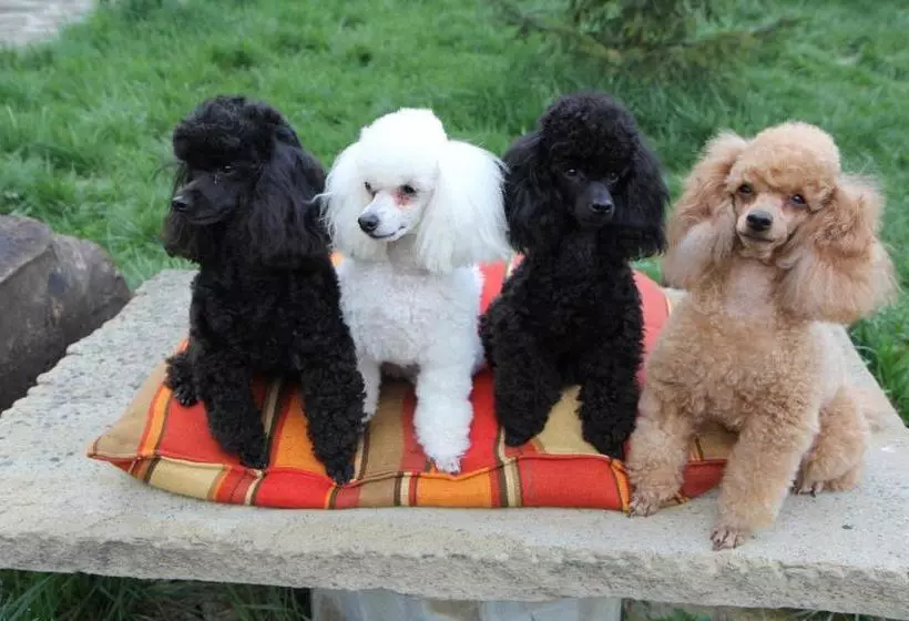 Majatalo New Bakalov House