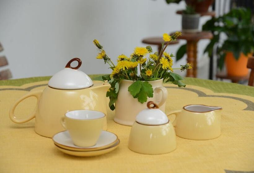 پانسیون Olimpo Guest House