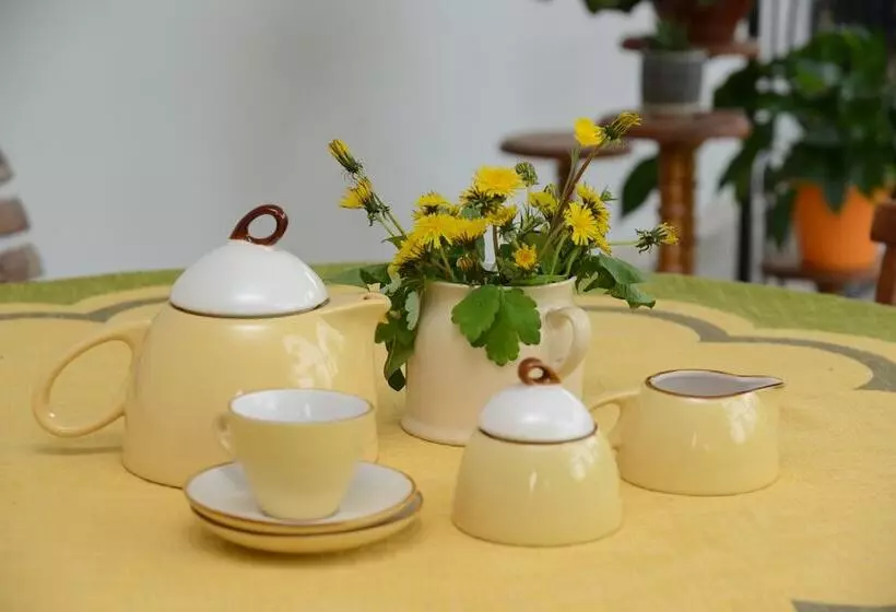 پانسیون Olimpo Guest House