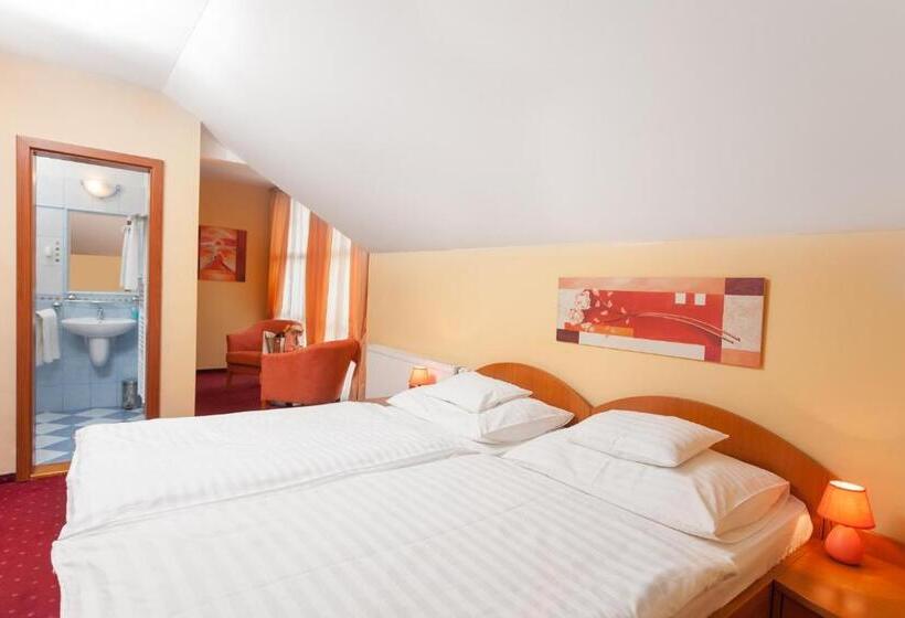 بنسيون Penzión Kamélia