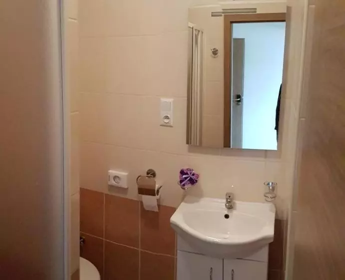 ペンション Penzion Maja