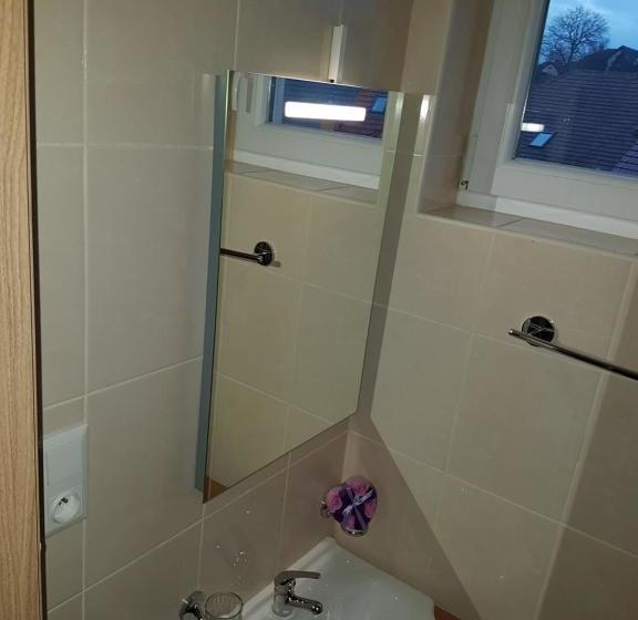 ペンション Penzion Maja