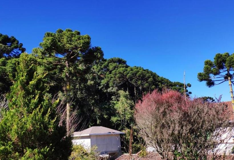 Pensão Pousada Recanto Feliz