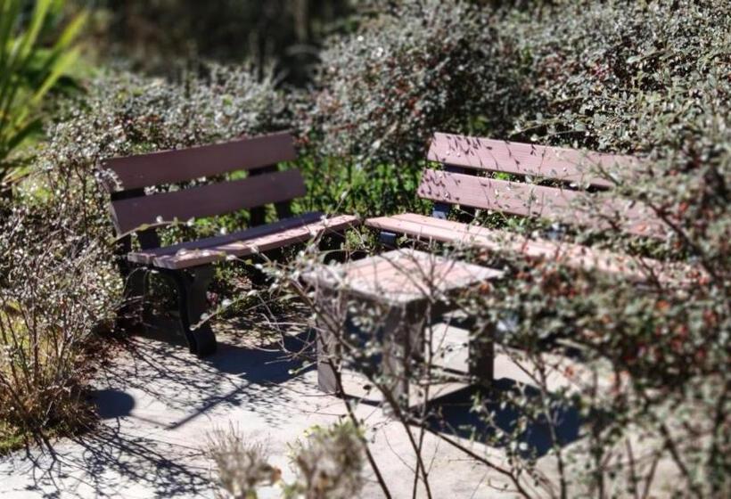 Pensão Pousada Recanto Feliz