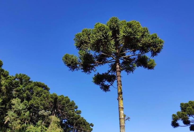 Pensão Pousada Recanto Feliz