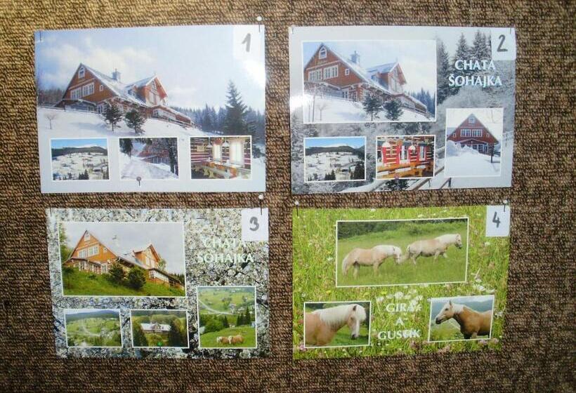 Общежитие Chata šohajka