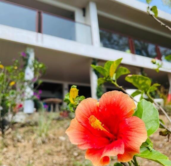 بنسيون Coibahouse