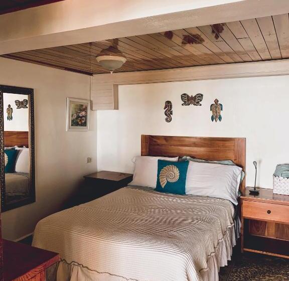 بنسيون Coibahouse