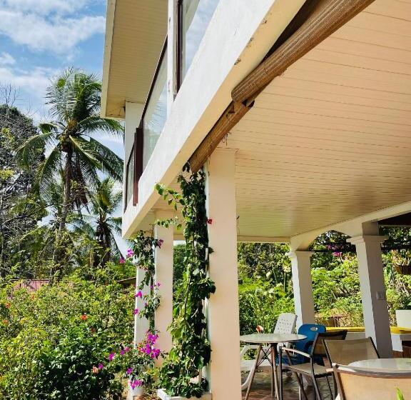 بنسيون Coibahouse