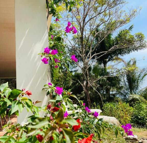 بنسيون Coibahouse