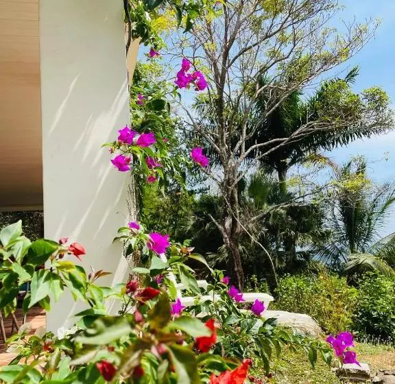 ペンション Coibahouse