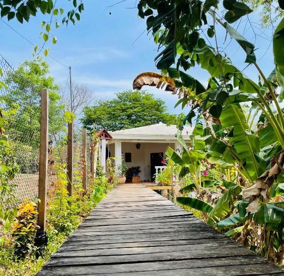 بنسيون Coibahouse