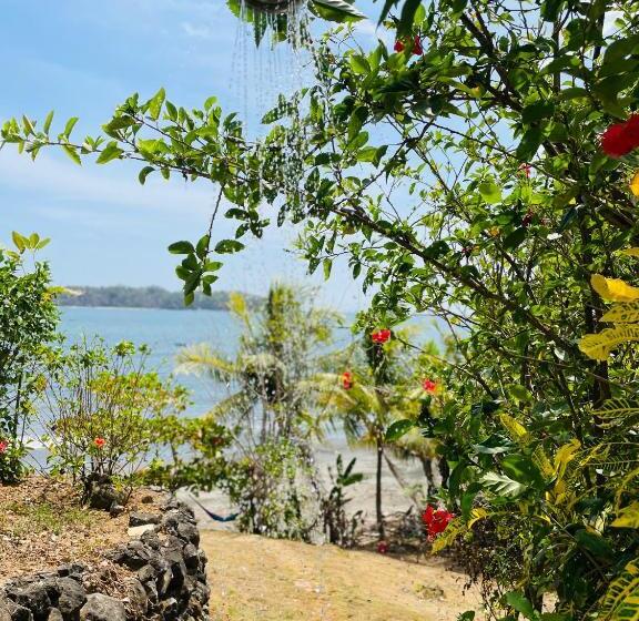 بنسيون Coibahouse