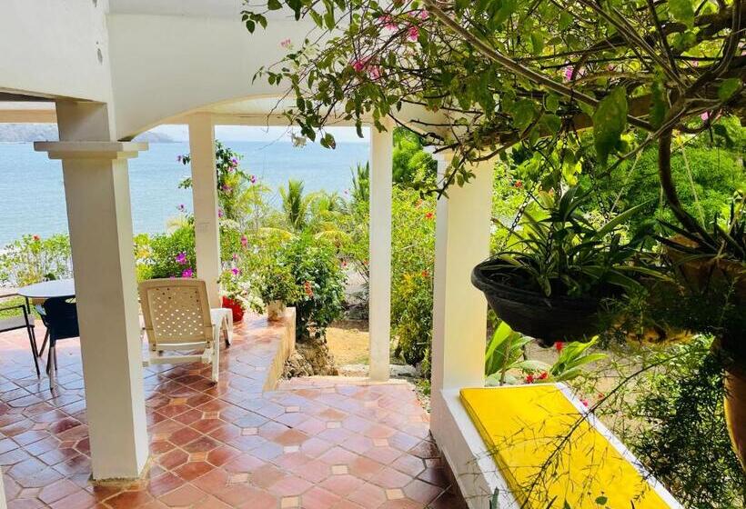 بنسيون Coibahouse