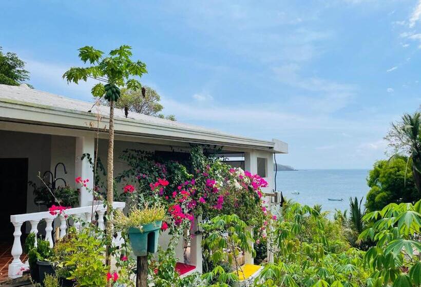 بنسيون Coibahouse