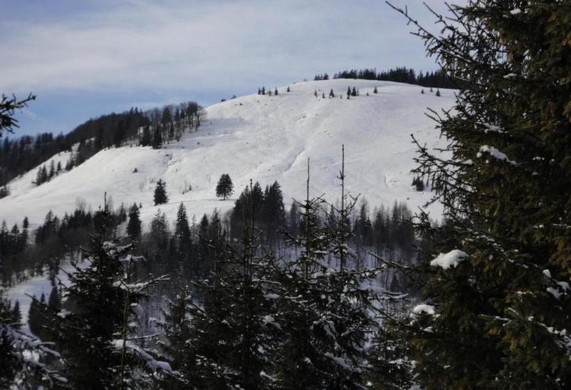 بنسيون Ferienwohnungen Vordergriess