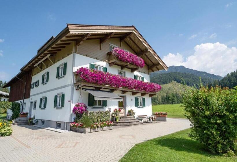 بنسيون Ferienwohnungen Vordergriess