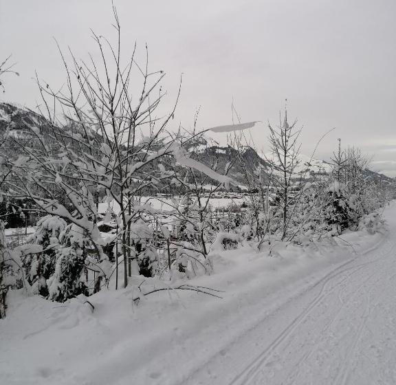 بنسيون Ferienwohnungen Vordergriess